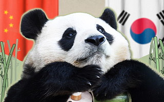 판다 추가 대여…푸바오가 돌아올 순 없나요? [해시태그]