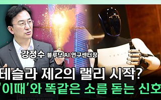 "자동차 더 팔아도 안 올랐다"…현대차·테슬라 주가 변수는 [찐코노미]