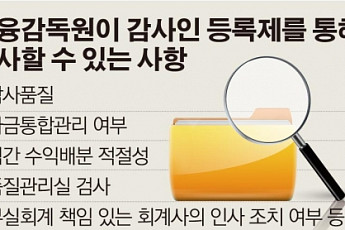 금감원, 회계법인 자금관리ㆍ인사 살피는 準종합검사권 갖는다