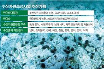 [수산업 미래산업]‘바다목장·숲’ 숨결 불어넣으니 건강 되찾는 해양 생태계