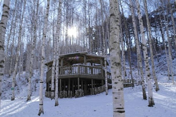 [주말에 어디갈래?] 눈 덮인 자작나무 숲, 아직도 뭉클한 공유의 눈물