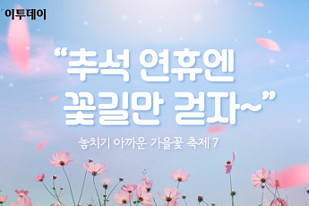 [카드뉴스 팡팡] “추석 연휴엔 꽃길만 걷자~”