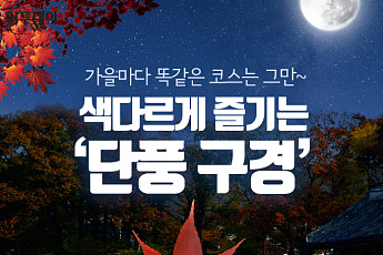 [카드뉴스 팡팡] 가을마다 똑같은 코스는 그만~ 색다르게 즐기는 ‘단풍 구경’