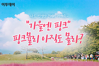 [카드뉴스 팡팡] 