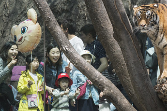 [주말에 어디갈래] “어린이날 어디 갈까” 봄꽃 가득 놀이동산 vs 미세먼지 걱정없는 복합쇼핑몰