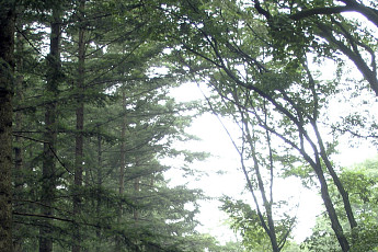 [주말에 어디갈래] ‘가정의 달’ 나들이 장소 6곳...어딜 가든 '웃음꽃'