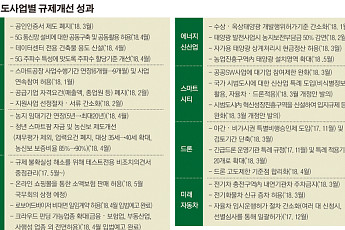 [이제는 혁신성장]‘親기업 코드로 팔 걷은 文정부