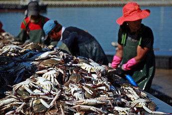 [올댓트립] 맛 따라 자연 따라…온 마음 가득 담아가는 '수확 여행'