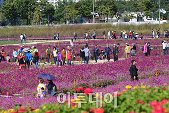 '가을 여행주간' 대전·대구·강원·제주 등 전국서 풍성한 축제…'할인 혜택 받고 떠나볼까'