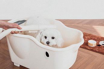 신일, 반려동물 전용 욕조 스타필드 위례점 입점