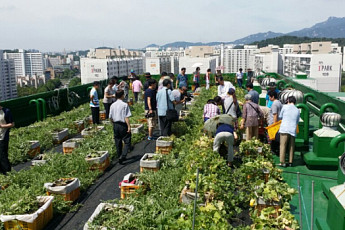 동네ㆍ아파트ㆍ학교 등 205개 소에 도시농업 텃밭 만든다