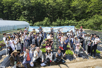 한국토요타 