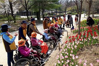 어르신들이 즐겨 찾는 서울숲 봉사 현장