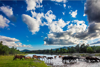 노랑풍선, ‘몽골 패키지’ 상품 출시...노옵션∙노쇼핑∙노팁