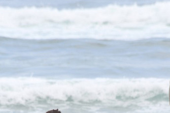 오창석♥이채은, 열애 소식에 이형철♥신주리 핑크빛 응원↑…네티즌 