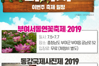 [주말엔 나가자] 이번주 축제 일정-부산국제어린이청소년영화제·비어고을 광주·포항 모래조각페스티벌 등