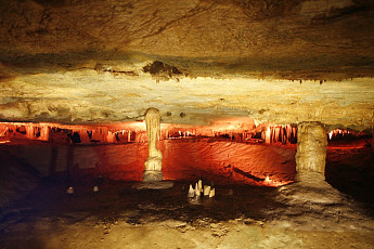 [올댓트립①] 바다·계곡 안 가요…천연 에어컨 속으로 떠나는 '여름 휴가'