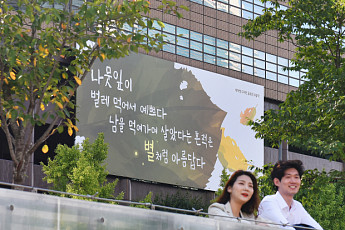 교보생명, 광화문글판 가을편 공개…이생진 시인 ‘벌레 먹은 나뭇잎’