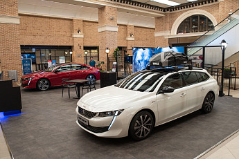 푸조, '뉴 508' 라인업 홍보 나서…강남 팝업 스토어ㆍ21~22일 시승행사