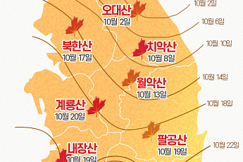 [인포그래픽] 2019년 단풍시기 정리…단풍여행 핫플레이스는?