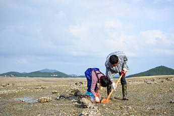 [올댓트립-토박이 추천 명소①] 곰섬부터 어린왕자 행성까지 '나만 알고 싶은 그곳'
