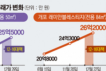개포동은 ‘12.16 대책’ 무풍지대?… 아파트 매매 신고가 '행진'