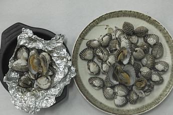 [올댓트립-겨울의 맛②] 호남은 꼬막·영남은 대구…겨울바다 주름잡네