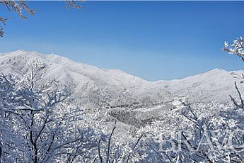 기어코 또 찾은 '하얀 산'