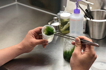 한국사회투자-한국문화관광연구원, 관광두레 주민사업체 엑셀러레이팅 개최