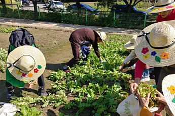 서울시, 생애주기별 치유농업프로그램 참여자 모집