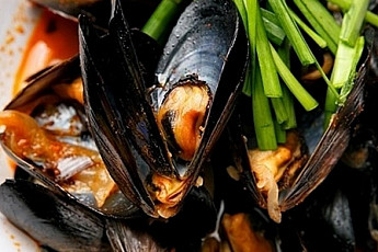 '생방송 투데이' 오늘방송맛집-#맛스타그램, 화끈함으로 끌어낸 시원함! 활(活) 조개 해물짬뽕 맛집 '청○○○'…해물짬뽕·홍합짬뽕, 조개가 어마어마