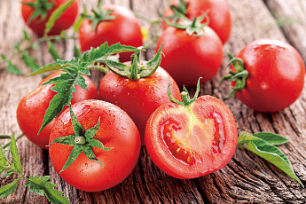 초여름 입맛 돋우는 토마토 활용 레시피