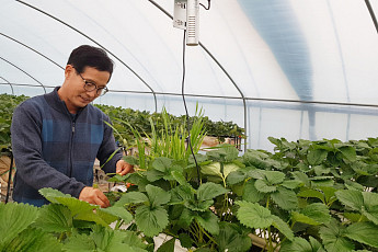 [세계 속에 K-농업 심는다⑦]