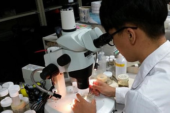 대학생 현장실습 '열정페이' 없앤다…최저임금 75% 지원