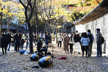 올해 첫 단풍은 이달 말 설악산에서