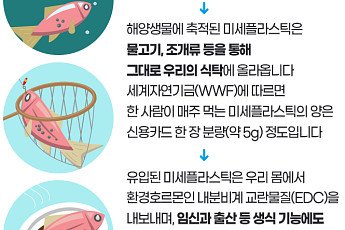 [인포그래픽] 슬기로운 쓰레기 분리배출 생활 ①폐플라스틱