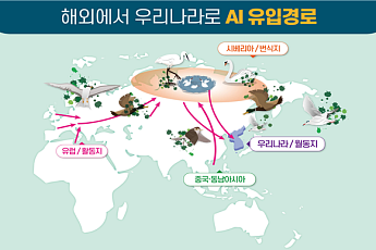 유럽ㆍ아시아 고병원성 AI 발생 급증…정부, 상시예찰 등 방역 강화