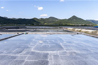 부안 곰소 천일염업ㆍ흑산 홍어잡이어업 '국가중요어업유산' 지정