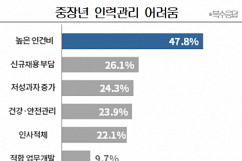 ‘정년 60세’ 의무화 5년…중장년 <b>인력</b>관리 어려움 여전해