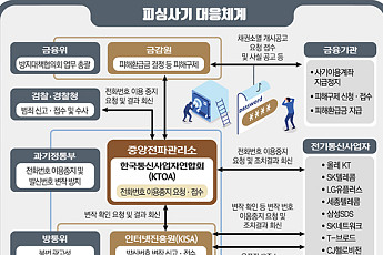 [대출 절벽에 판치는 스미싱] 국가가 피싱예방 주도…전화기 구입 지원·고령층 교육