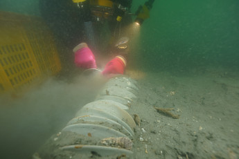 [랜선핫이슈] 군산 앞바다서 도자기 무더기·카페서 파마 연습한 남녀·두 아이 안고 60m 날아간 엄마