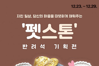 [이슈크래커] “그냥 주워서 키우면 안돼?”…‘반려돌’ 사는 시대
