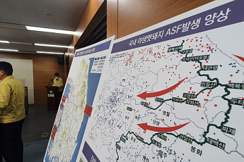 AI·ASF 발생 줄었지만 여전히 위험…정부 가축질병 방역 점검 강화