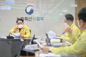 코로나 심각한데 새로운 유형 나온 조류인플루엔자까지…장기 확산 ’노심초사‘