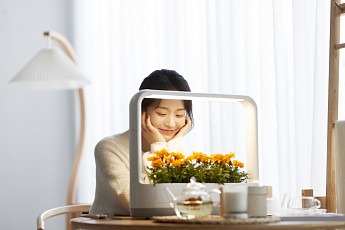 “반려식물, 책상에서도 키운다”…LG전자, ‘LG 틔운 미니’ 출시