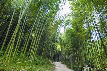 명절 혼자 보낸다면?…‘혼추족’ 위한 추천 여행지 4選