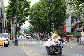 ‘생계’로 폐지 줍는 노인 1만 5000여 명...하루 수입 1만 원