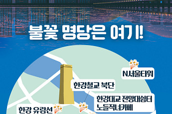 [인포그래픽] '2022 여의도 불꽃축제' 숨은 명당은? (feat. 사진 잘 찍는 법)