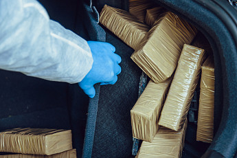 '마약청정국' 옛말…대마 직접 재배한 러시아인, '징역 3년' 실형