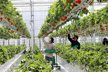 비농업인 소유 농지, 국·공유지도 농지은행 매입 대상에 포함